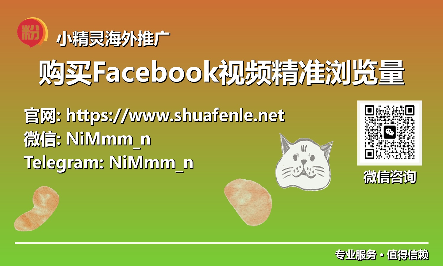 独家揭秘:如何策略性购买Facebook视频精准浏览量,提升ROAS