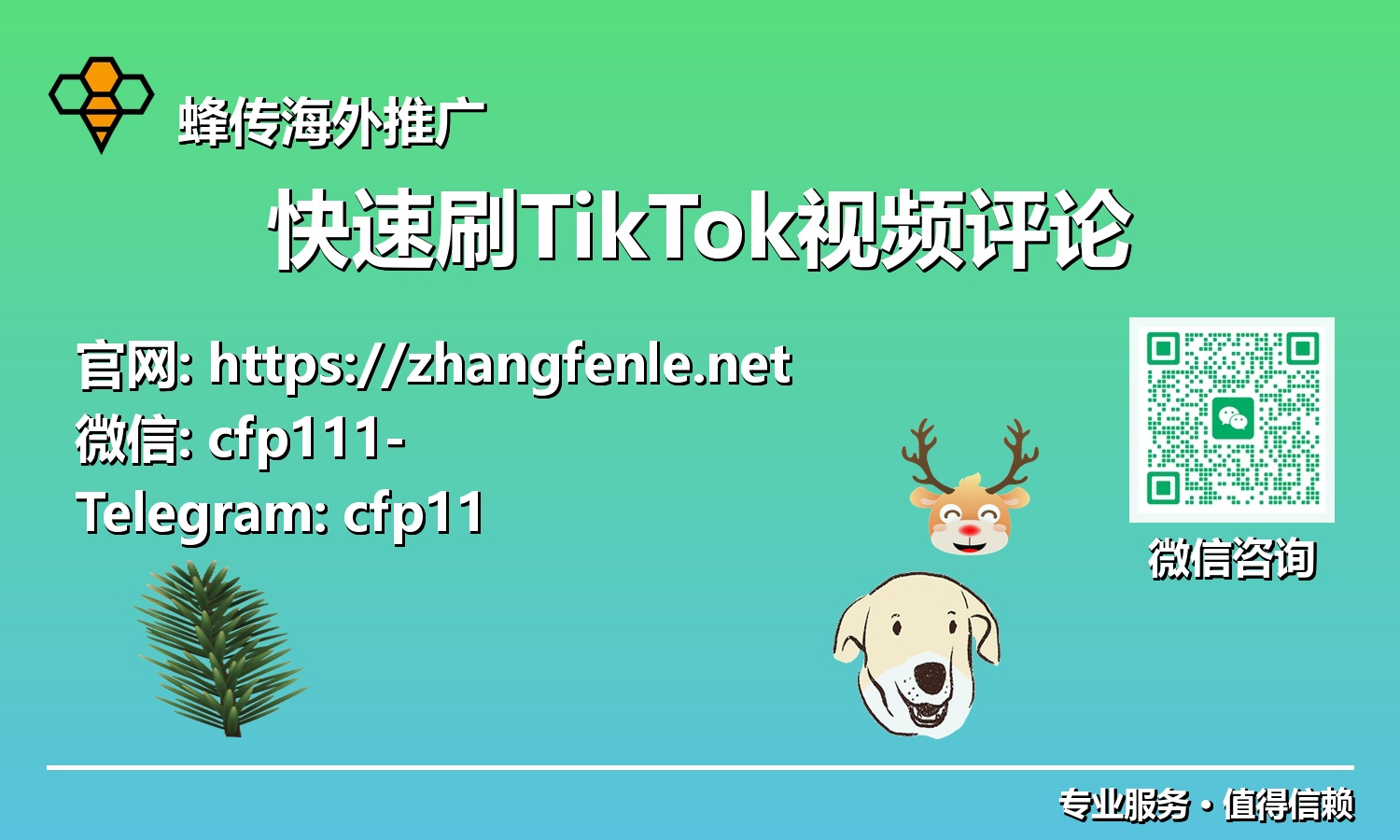 告别低互动:TikTok评论增长的黑科技与白帽技巧大揭秘