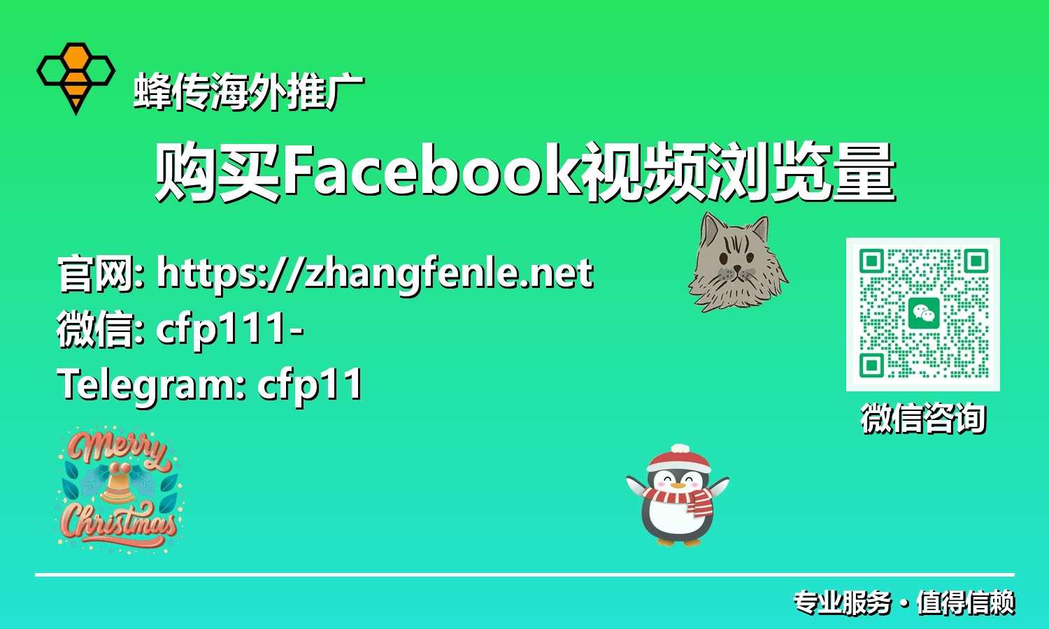 从零到一的飞跃:探秘购买Facebook视频浏览量如何加速您的品牌建设