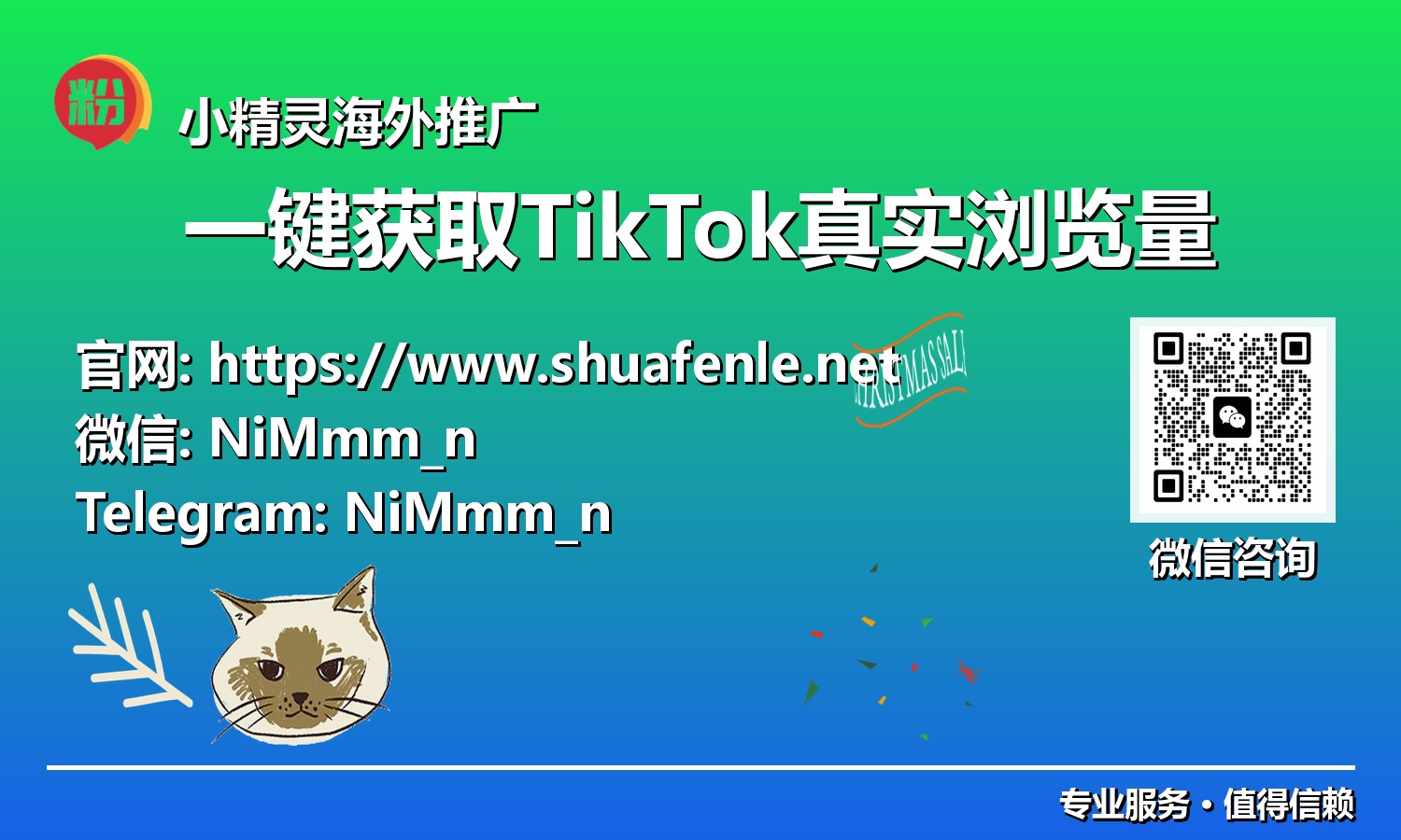 短视频新纪元：利用创新工具，一键获取TikTok真实浏览量的全面指南