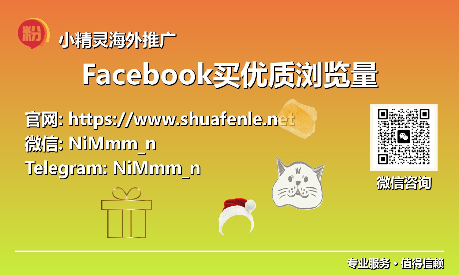 精准高效：揭秘2025年Facebook购买优质浏览量的ROI最大化路径