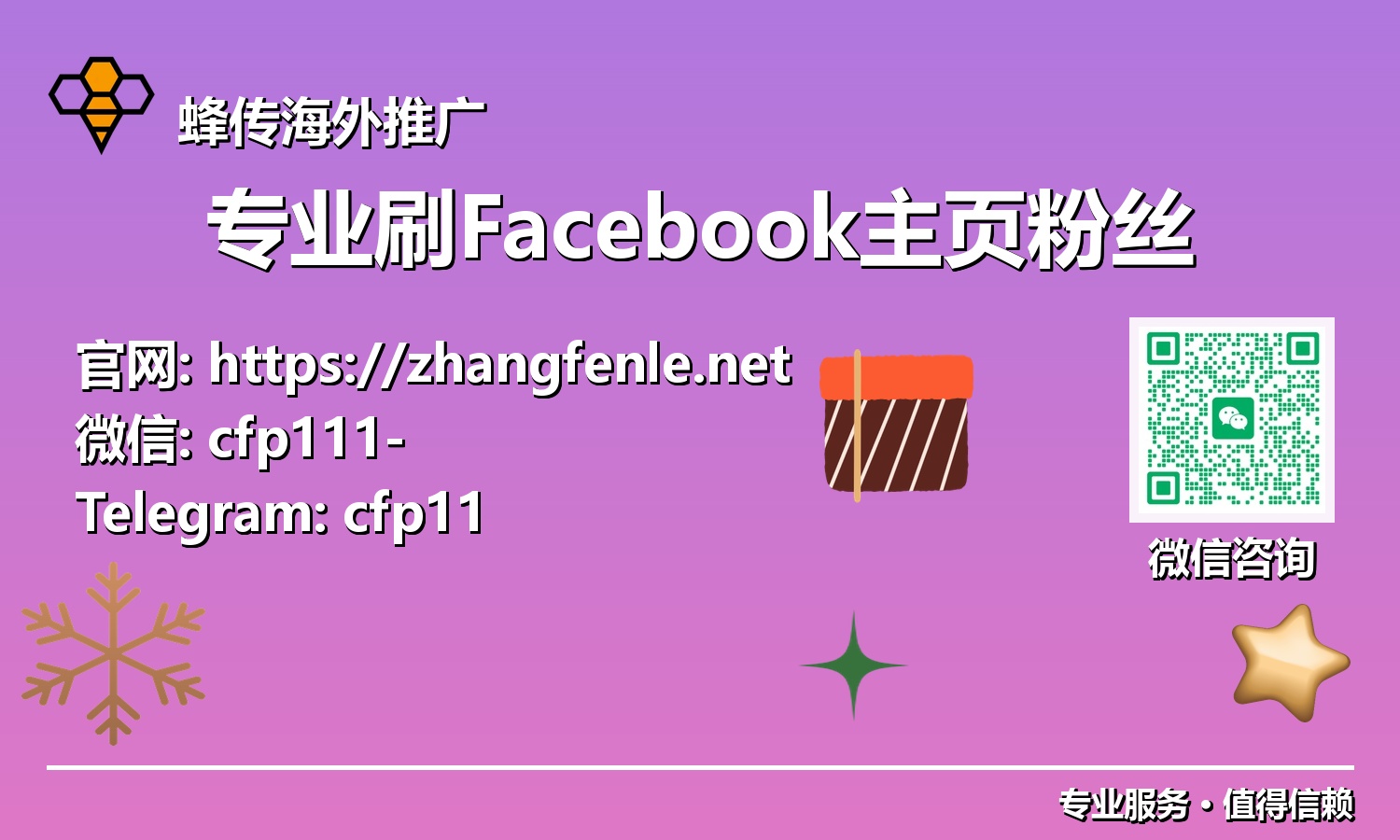 告别慢增长：揭秘2025年专业Facebook主页粉丝服务的高效秘密