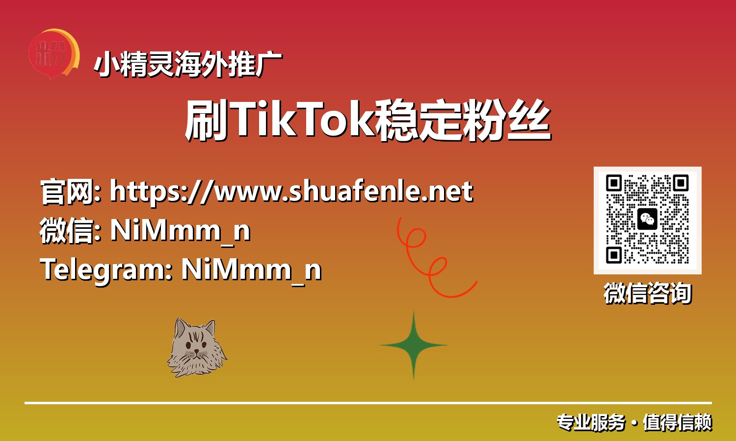 揭秘：TikTok粉丝增长的“刷”与“稳”——2025年最新策略