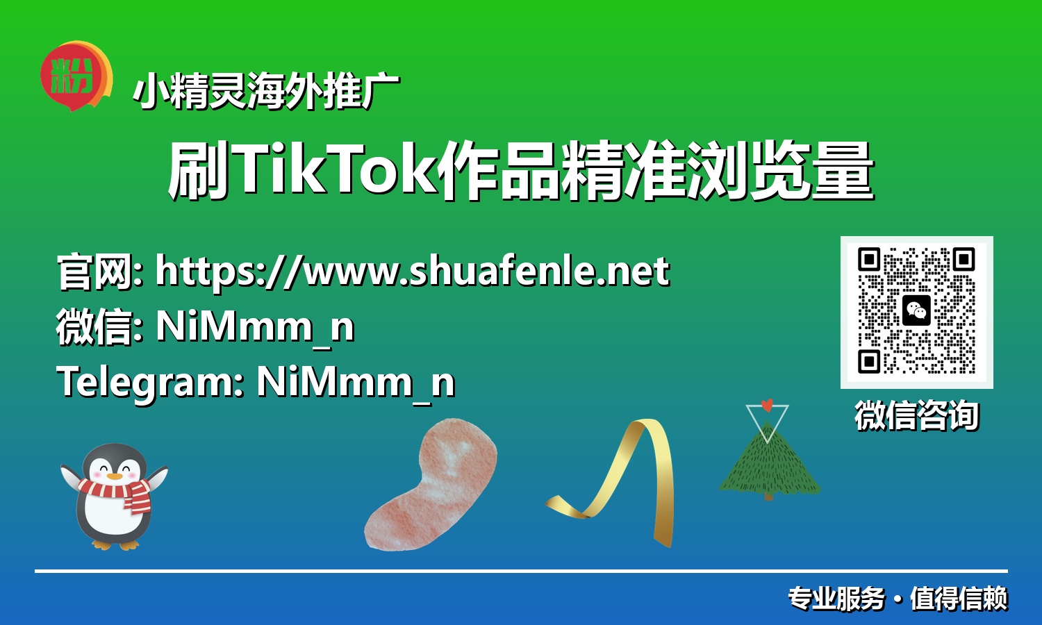 揭秘TikTok算法偏爱：用精准浏览量驱动粉丝与营收双增长