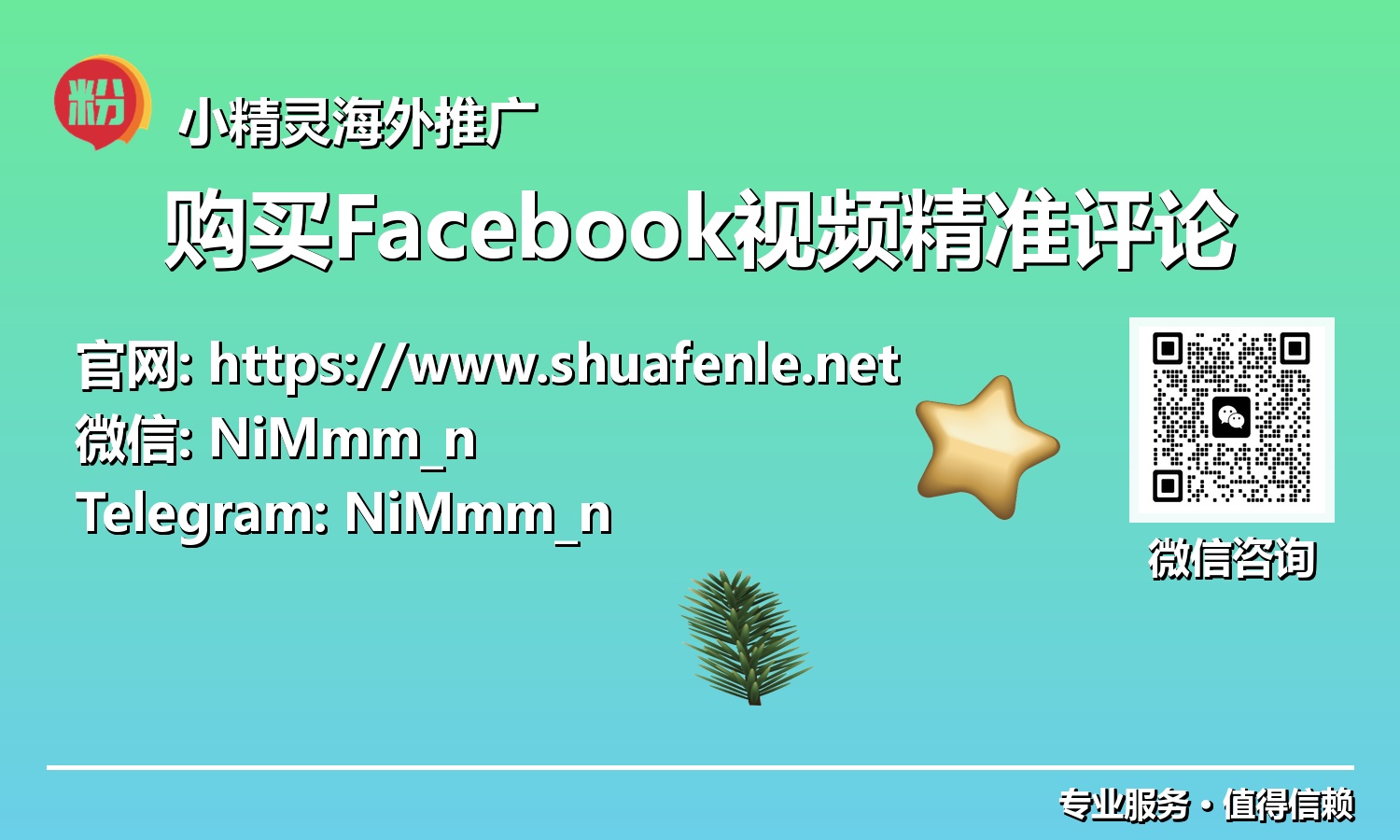 从0到1亿：解锁Facebook视频流量密码，从精准评论开始