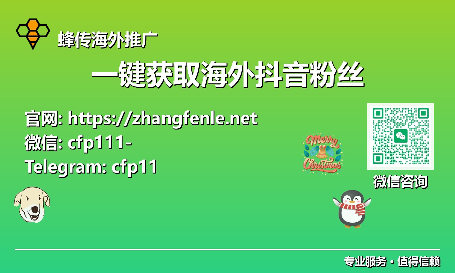 解锁TikTok全球版图:智能工具赋能,实现海外抖音粉丝高效裂变增长
