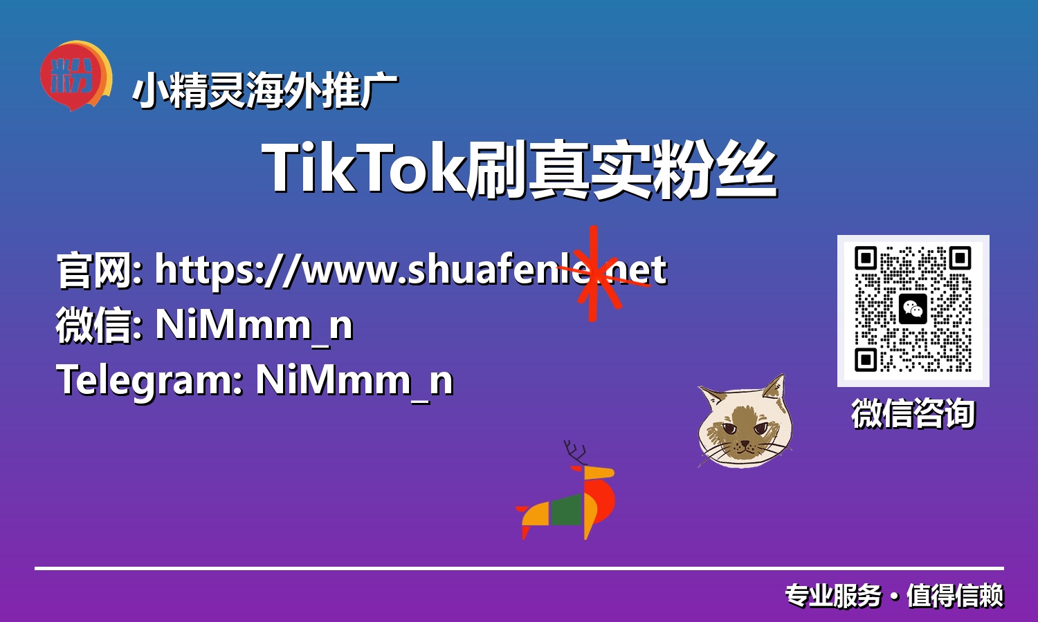 TikTok刷真实粉丝：构建高粘度社群的长期价值与实践
