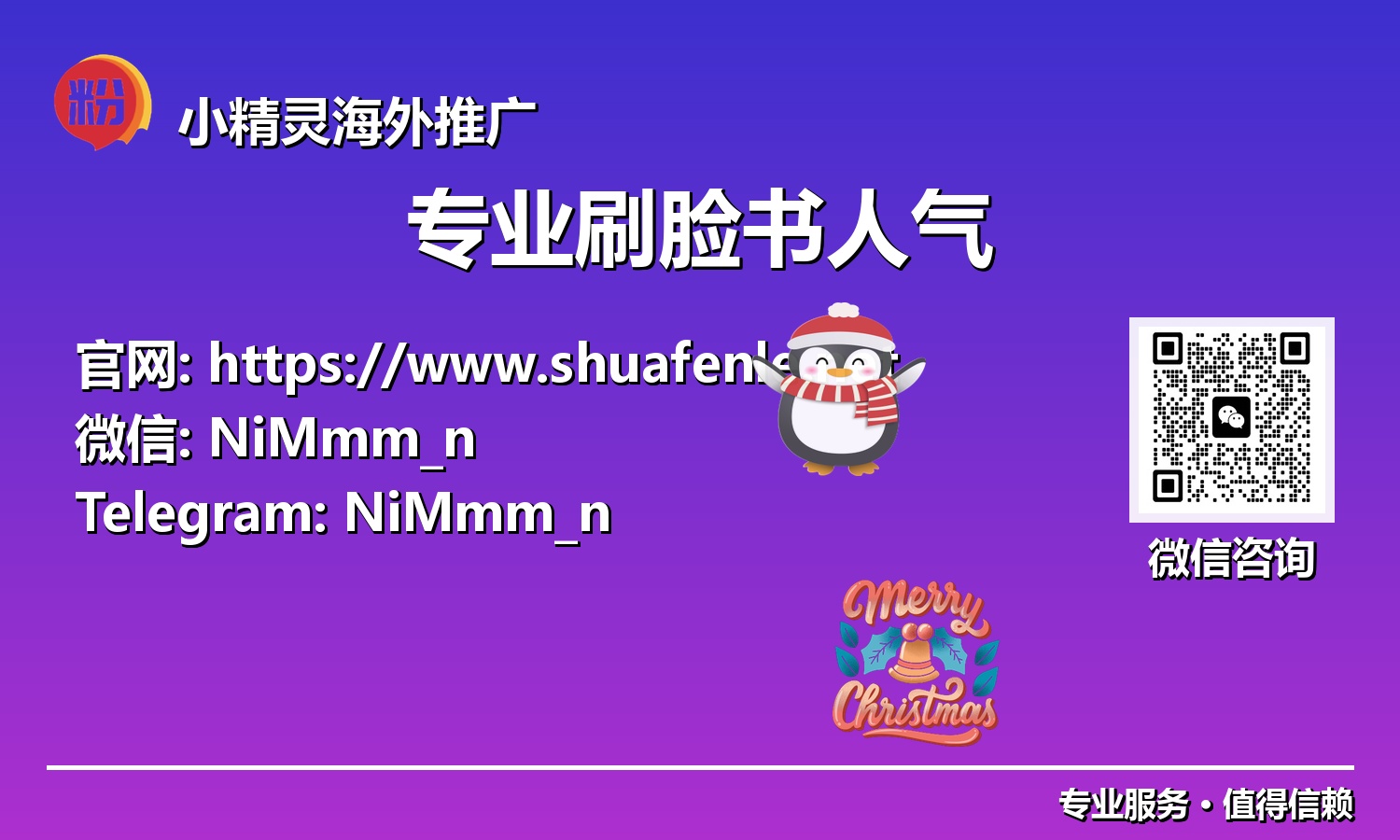 精准定位，高效增长：2025年专业化Facebook推广的成功秘诀