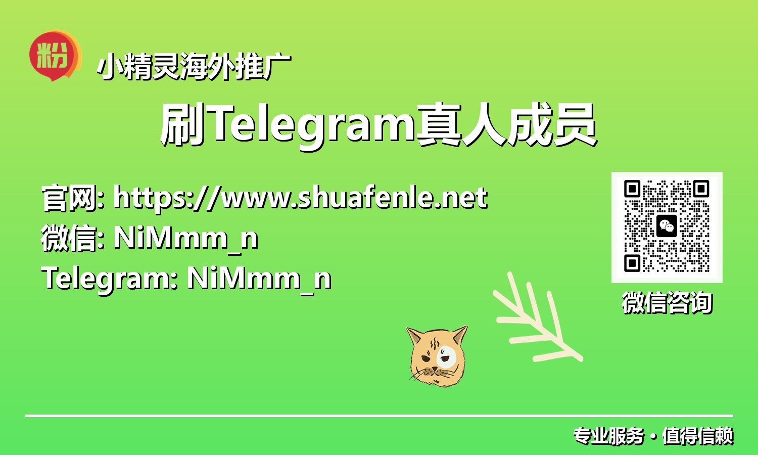 告别僵尸粉:2025年Telegram真人成员增长的秘密武器与策略