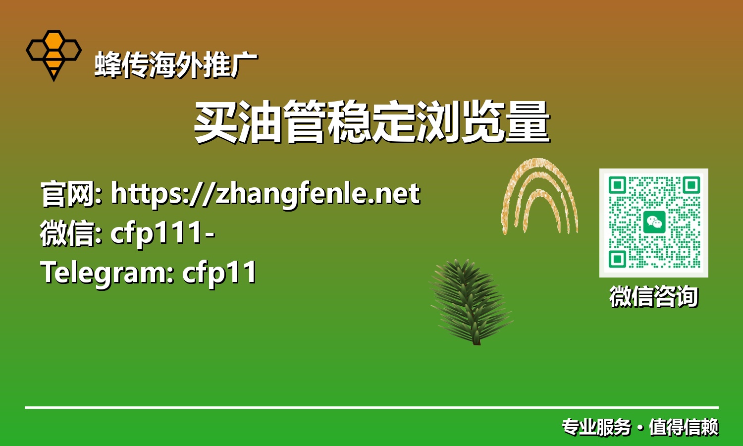 从0到100万:专业指南,教您如何通过稳定浏览量加速YouTube成功之路