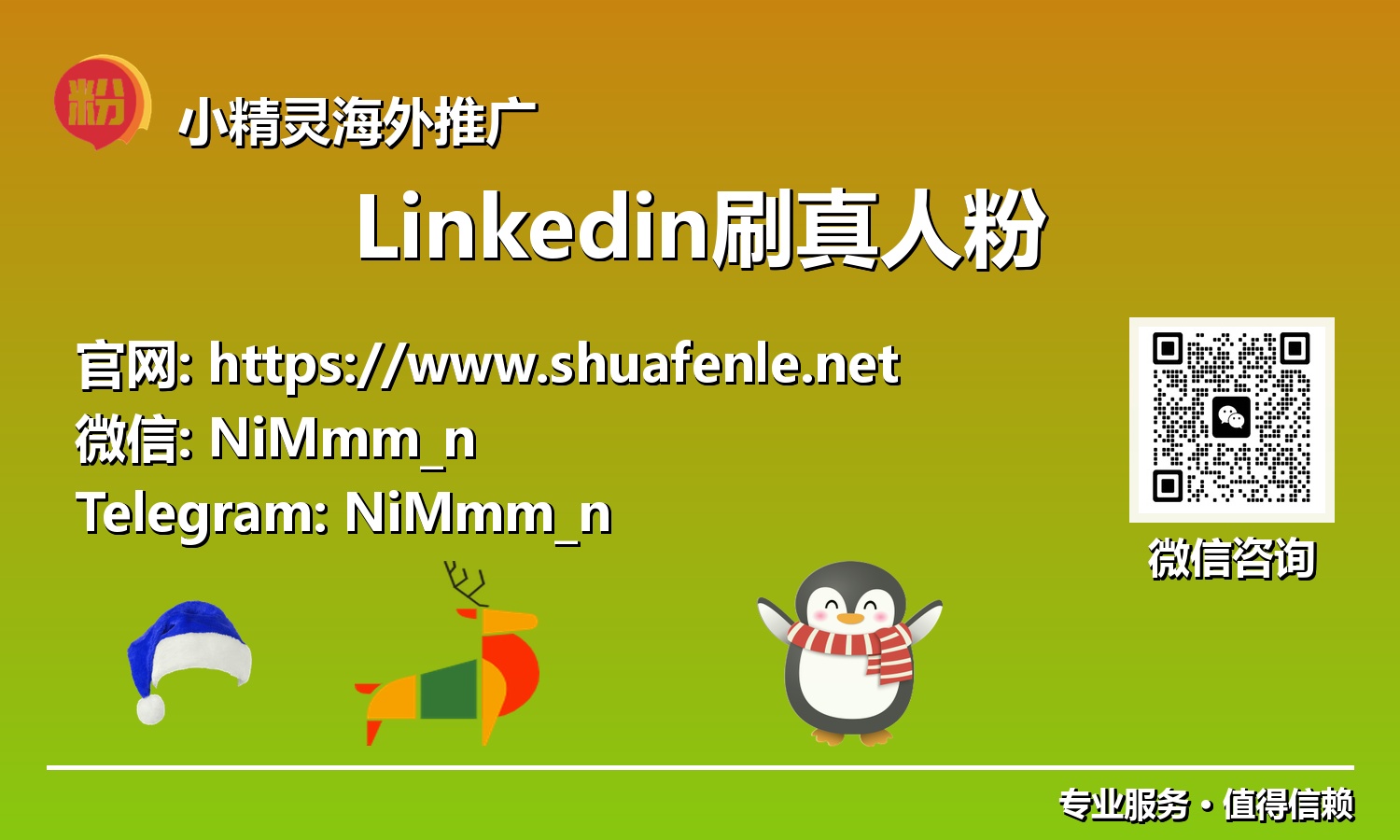 深度解析：LinkedIn刷真人粉如何驱动你的事业腾飞2025