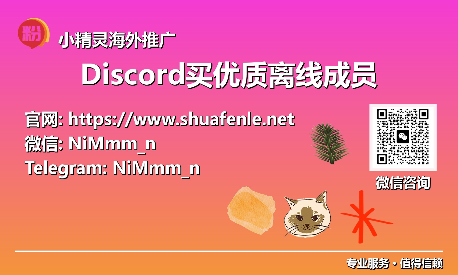 2025年Discord服务器破局:如何策略性购买优质离线成员,实现社区规模飞跃?