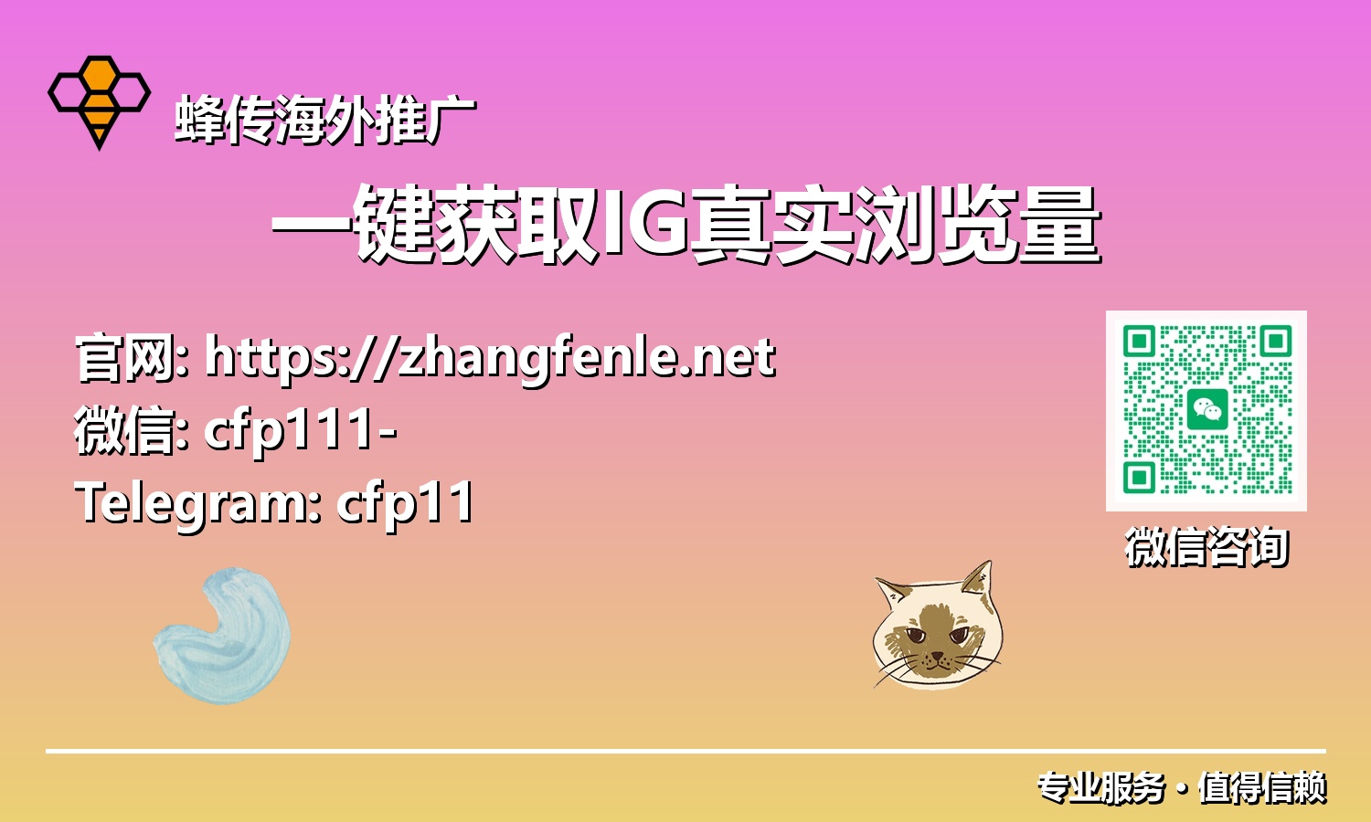 IG算法制胜:如何巧妙运用一键策略解锁海量真实视频播放
