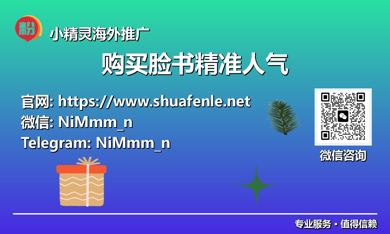 抢占市场先机：通过购买脸书精准人气，构建你的数字帝国
