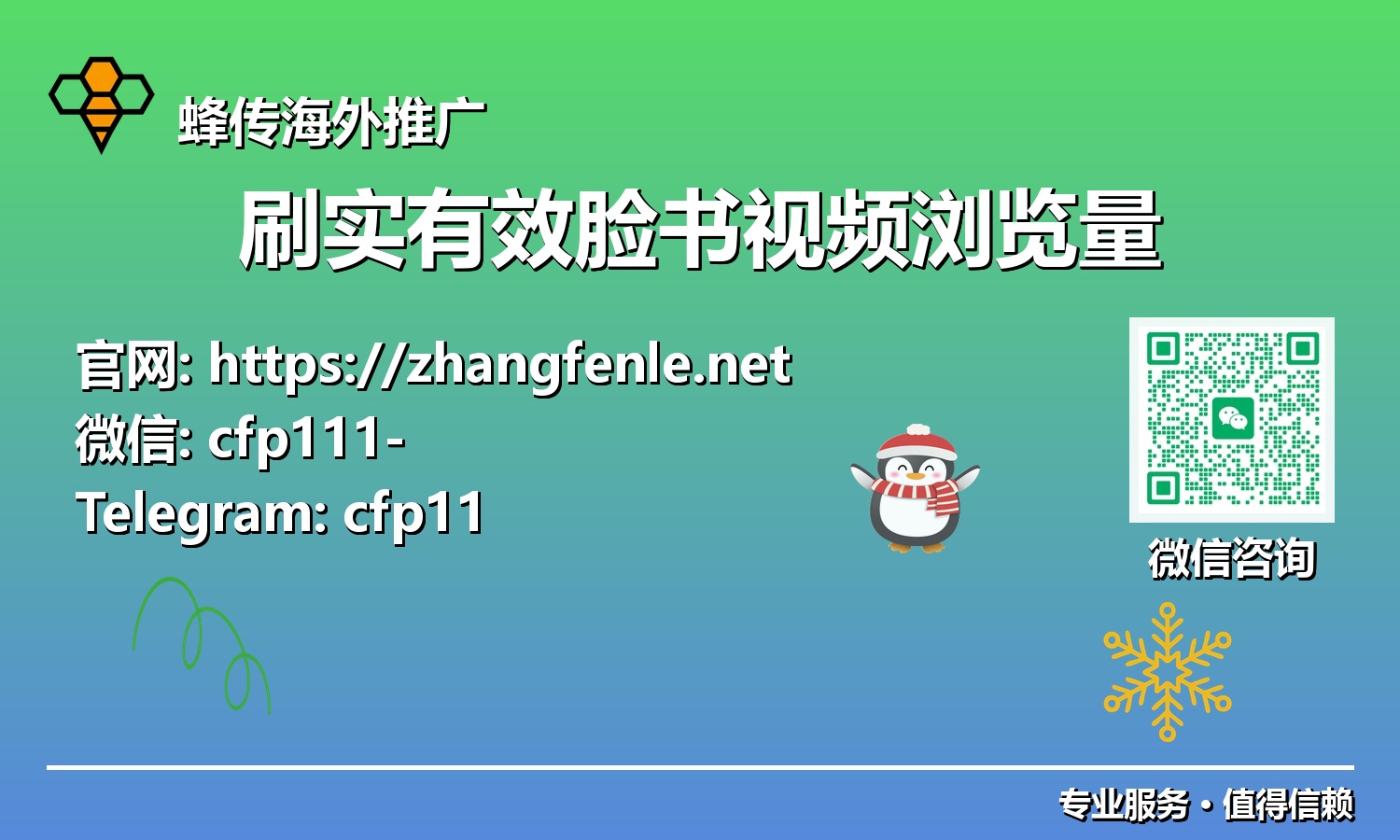 告别僵尸粉：2025脸书视频浏览量真实增长的终极奥义