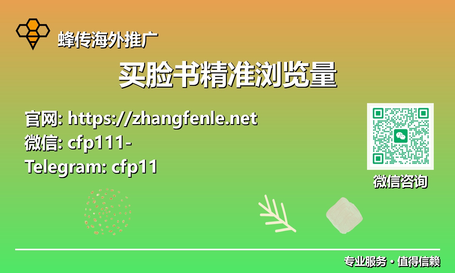 超越传统，拥抱未来：为何买脸书精准浏览量是品牌增长的必然选择
