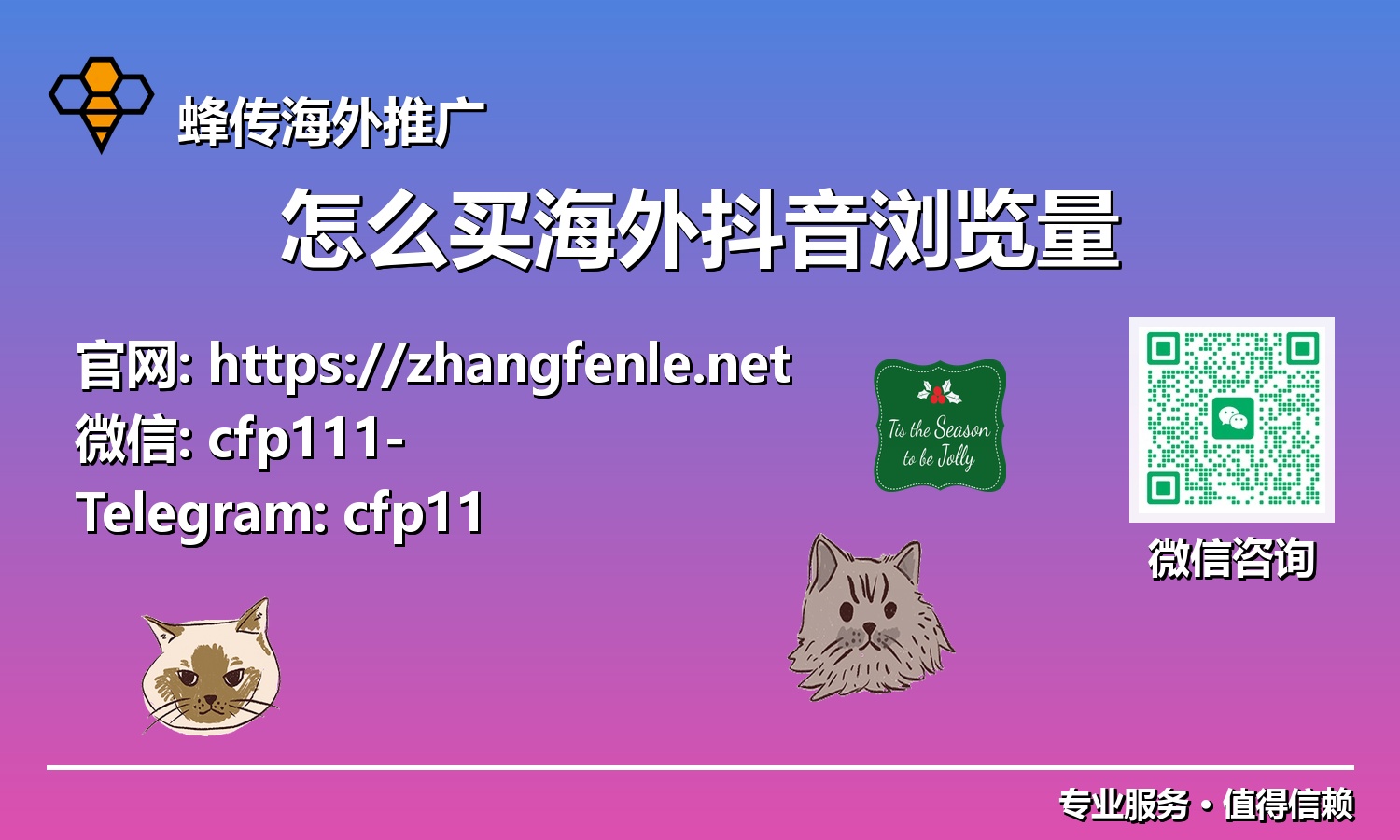 抖音出海流量新纪元:海外浏览量获取深度解析