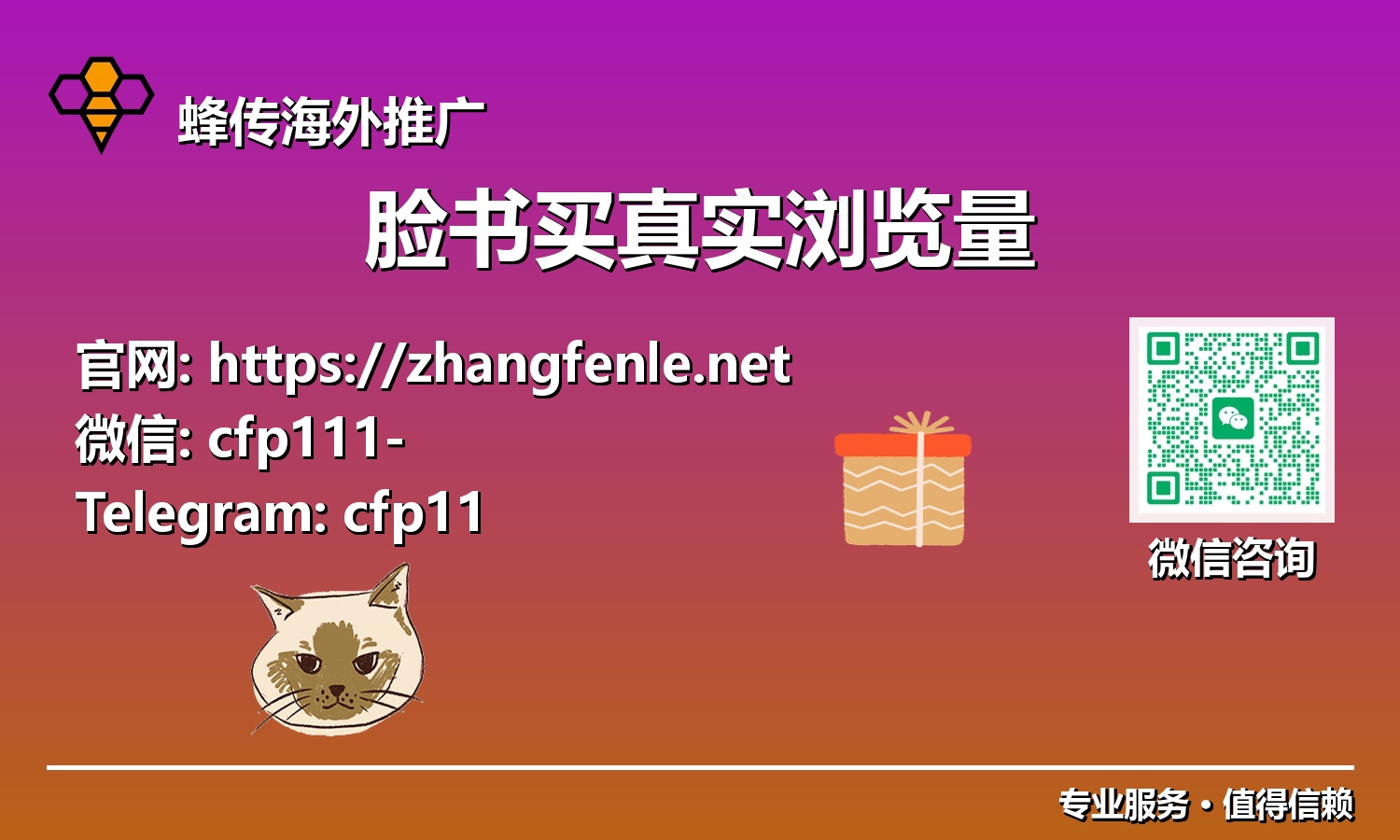社交新纪元：2025年Facebook高效获取真实视频及内容浏览量