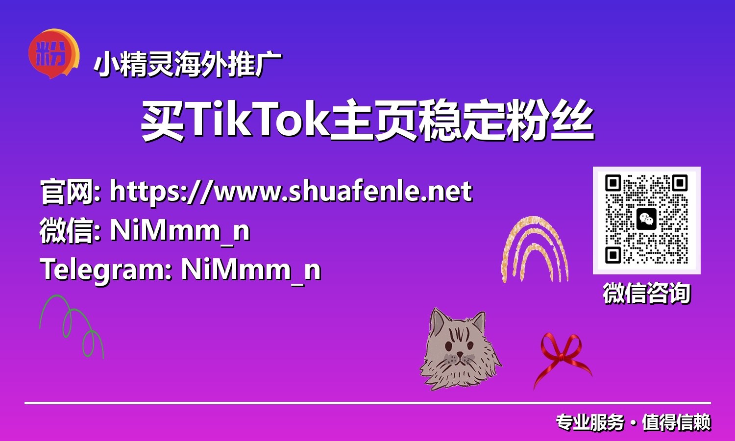 未来已来：2025年TikTok快速增长，从稳定粉丝开始
