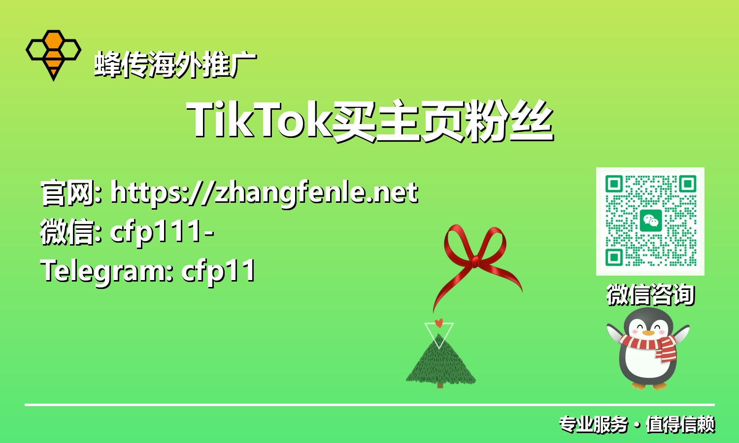 数字新潮:2025年品牌与个人如何通过TikTok粉丝实现飞跃