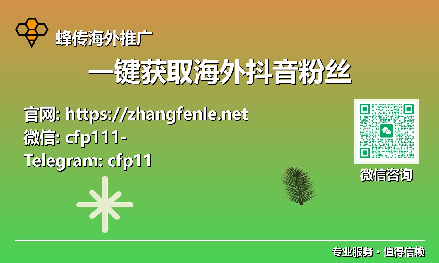 不再等待：掌握2025年一键获取海外抖音粉丝的秘诀