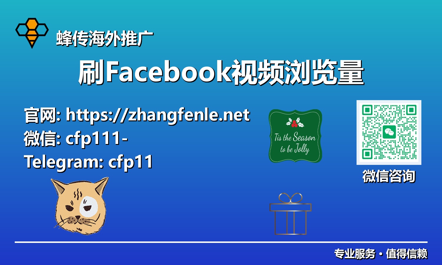 从零到百万:2025年Facebook视频浏览量增长秘籍全解析