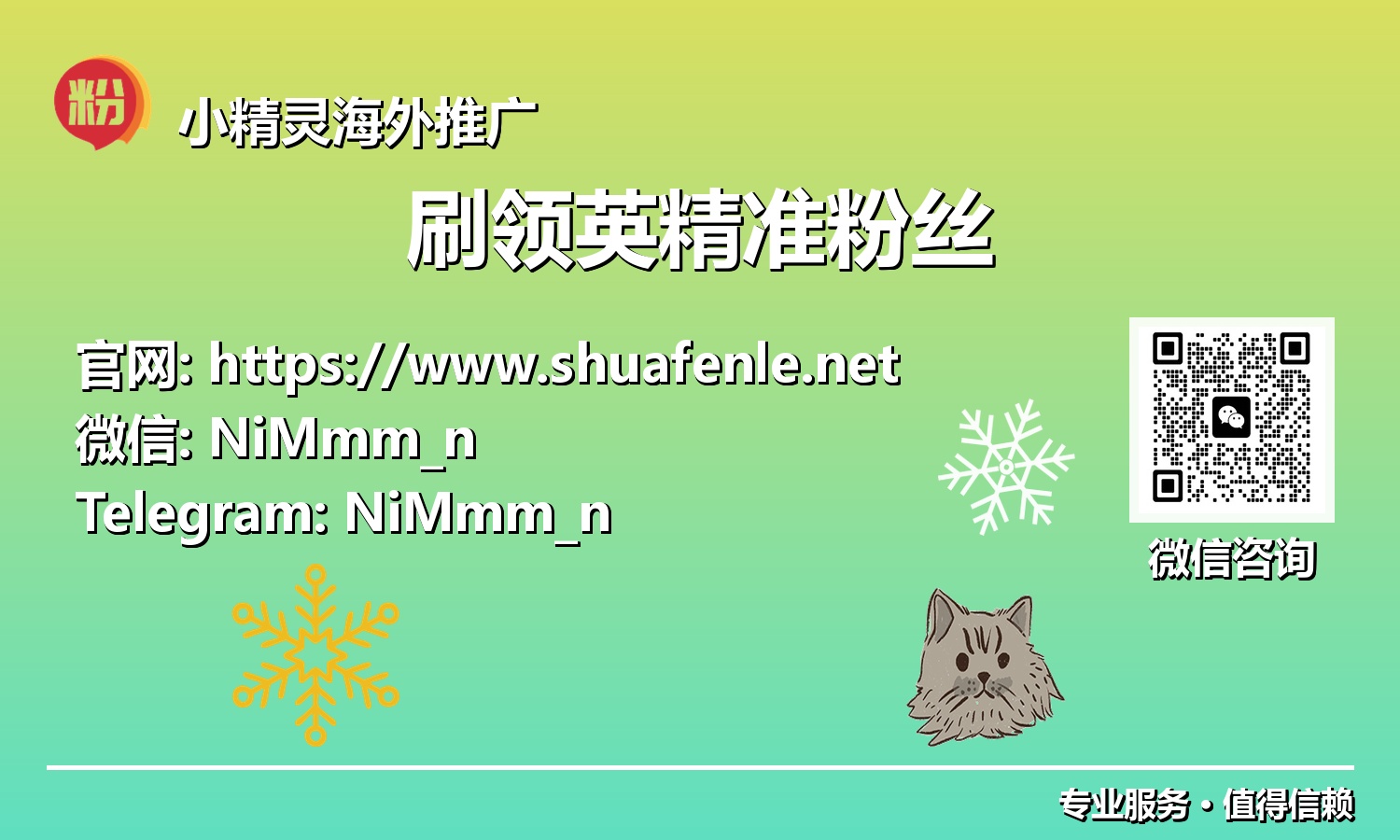 数据驱动与智能加速：深度解读领英精准粉丝获取的制胜秘籍