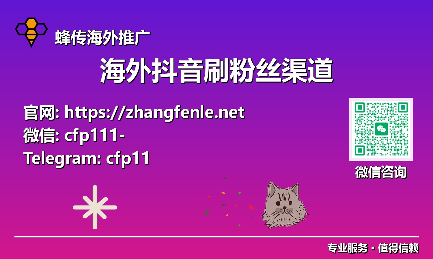从0到百万：2025年TikTok海外抖音刷粉丝渠道的战略部署