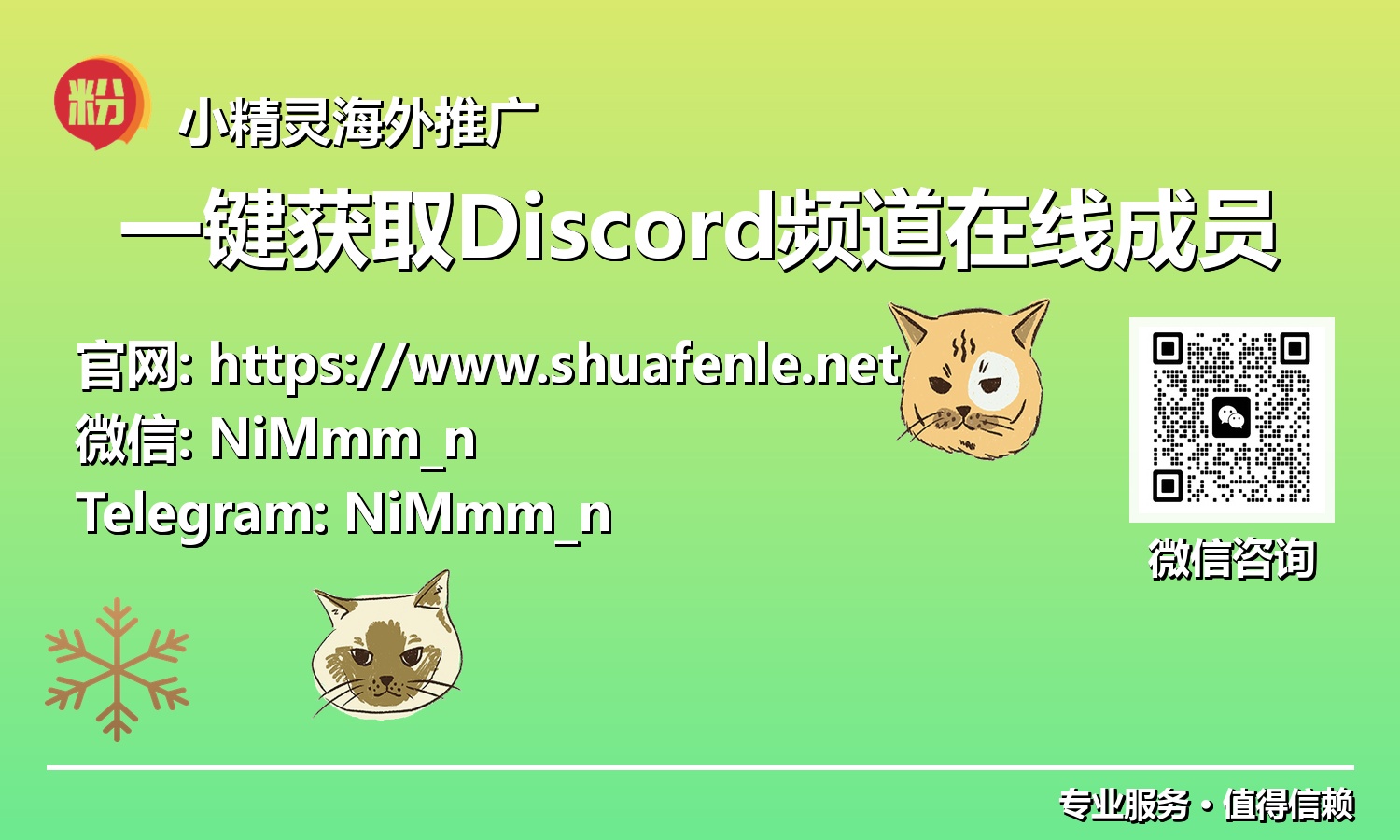 颠覆传统：轻松掌握Discord在线成员，助推社群互动新纪元