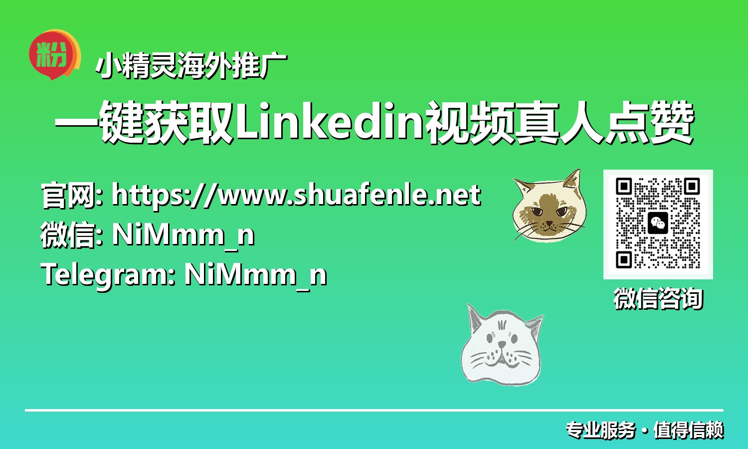 影响力倍增:一键获取LinkedIn视频真人点赞,打造2025年最受瞩目的专业视频内容