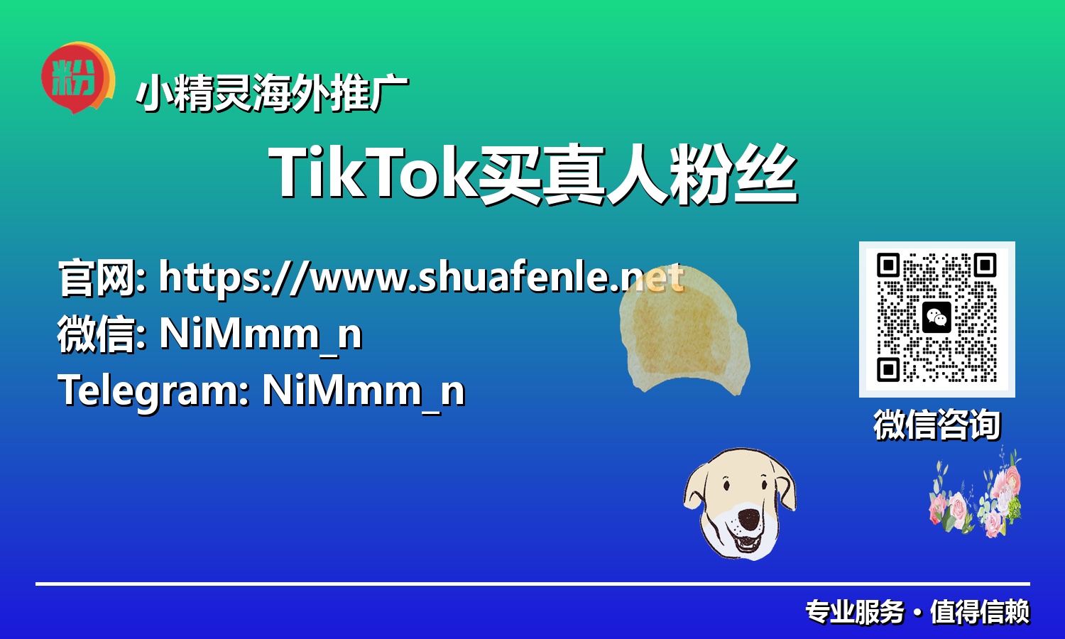 智赢未来:一份关于TikTok买真人粉丝的全面指南与成功法则