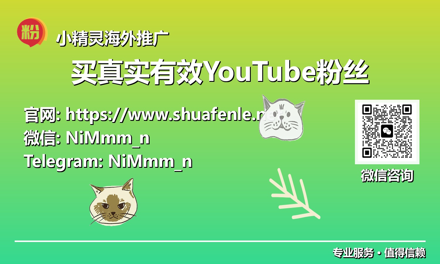 解密YouTube成功秘诀：如何投资“真实有效粉丝”，迈向百万订阅？