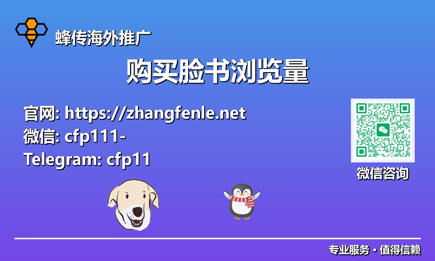 社媒时代的加速器:如何智能有效地购买脸书视频观看量,引领行业趋势