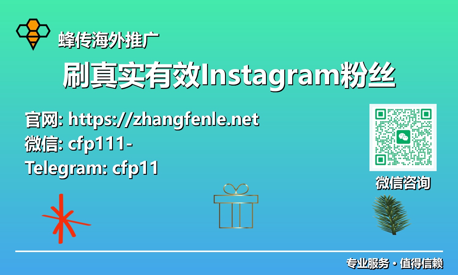 投资未来：洞悉2025 Instagram粉丝增长策略，打造高价值互动社群