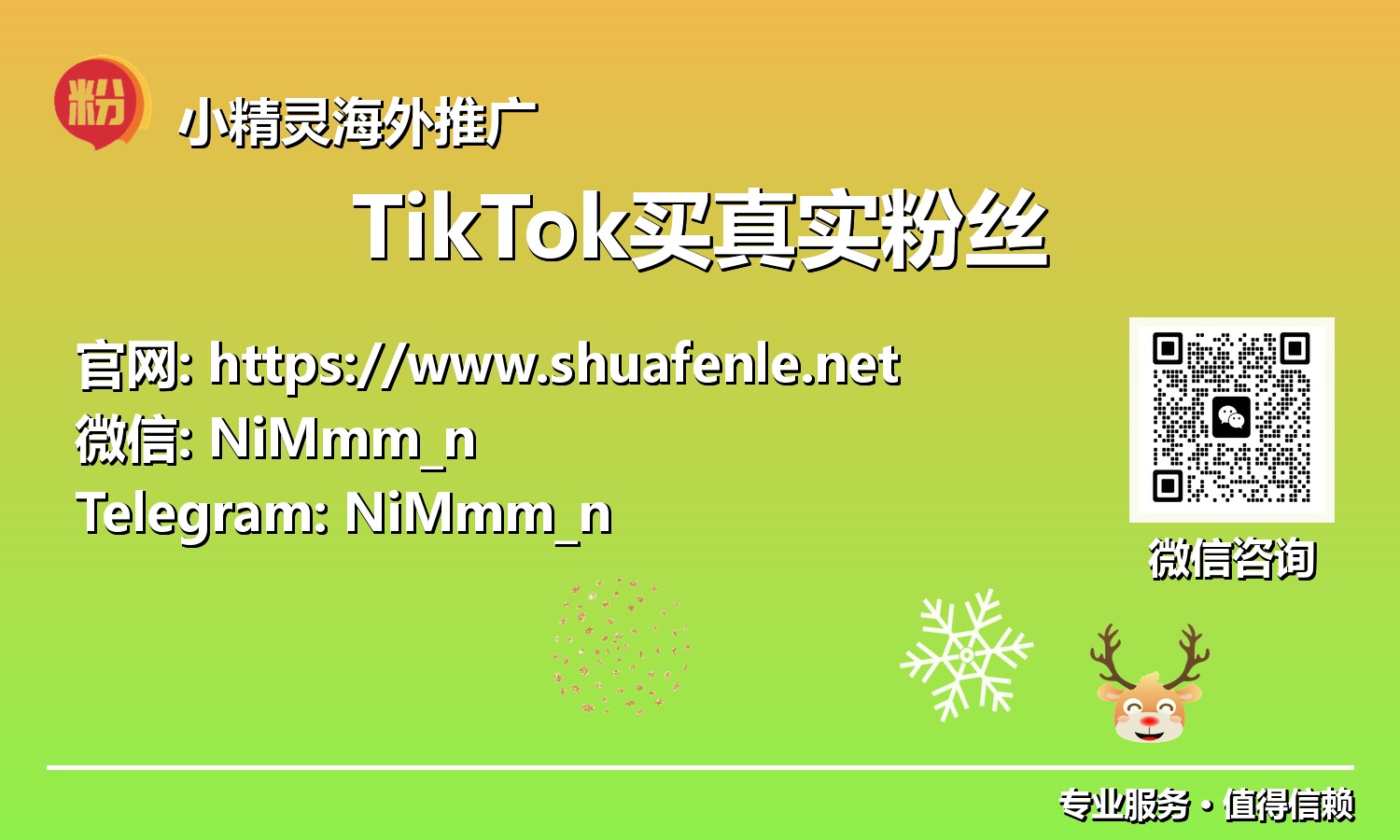 驾驭2025：TikTok真实粉丝增长，解锁你的数字财富