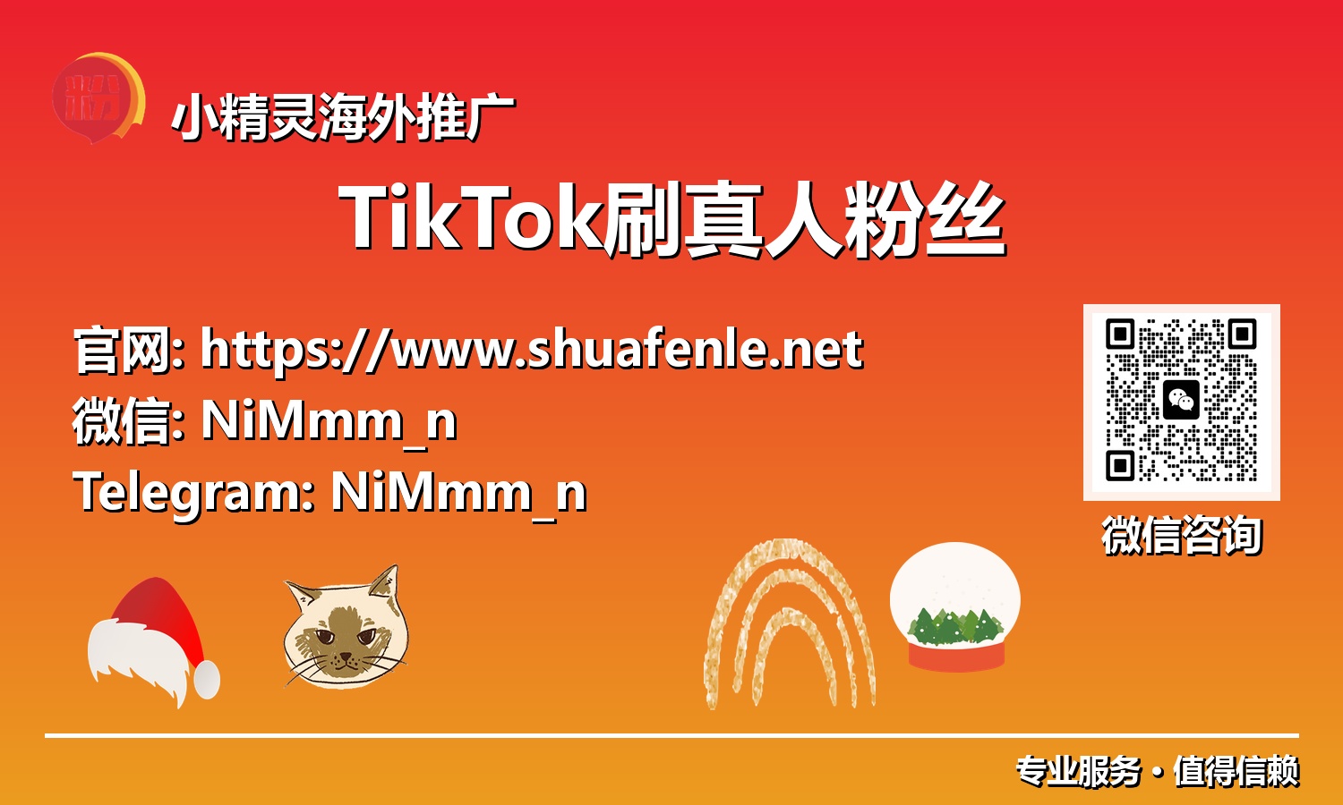 超越假粉:2025年TikTok真实用户增长的策略与实践