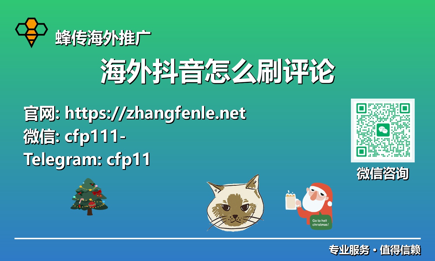 深入解析：海外抖音评论互动机制与实战策略