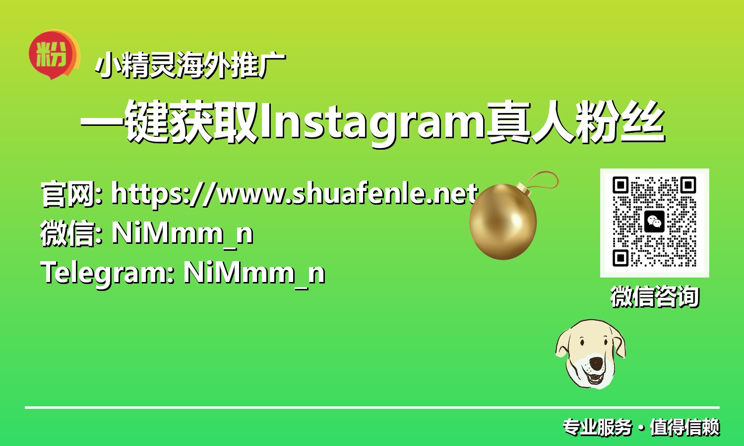 玩转Instagram：2025年解锁一键式真人粉丝增长的秘密武器