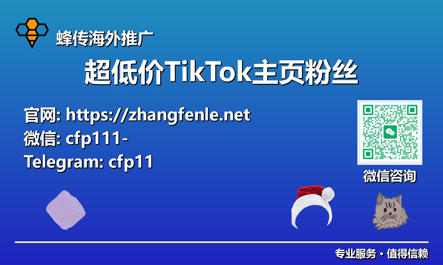 2025年TikTok涨粉革命：用超低价主页粉丝，加速账号变现！