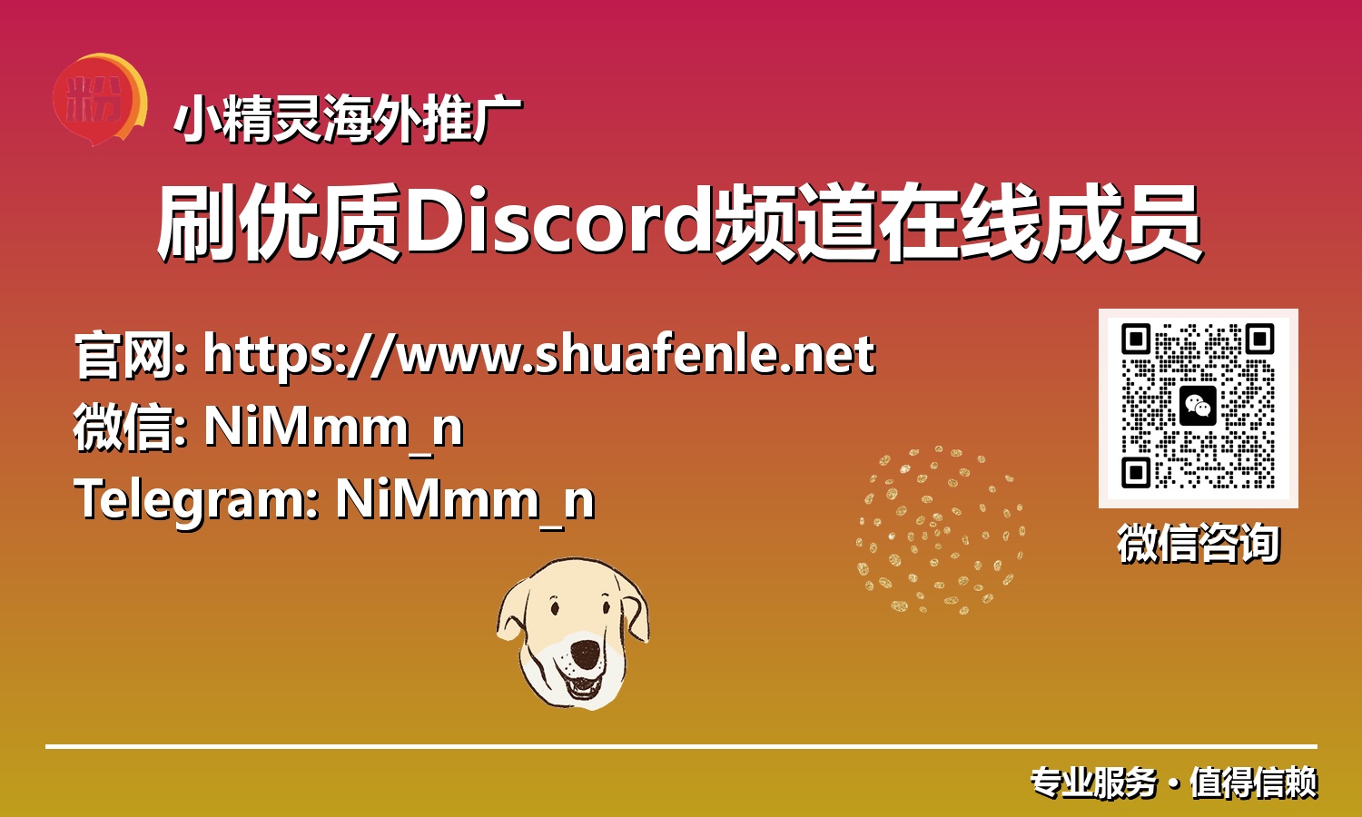 赋能您的Discord频道：在线成员数量与质量双飞跃的实战指南