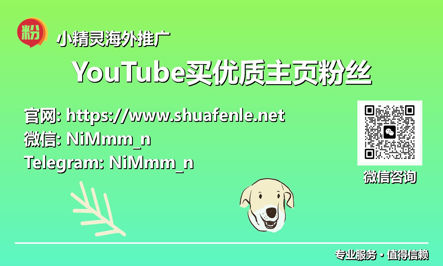 从零到百万:以购买优质主页粉丝为跳板,打造YouTube社媒帝国