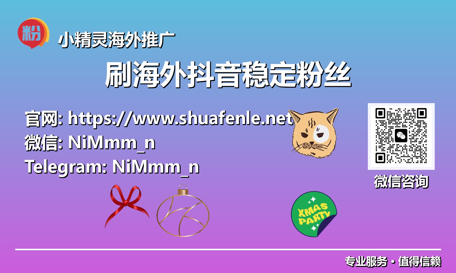 揭秘数据背后的秘密：打造铁杆海外抖音稳定粉丝社群
