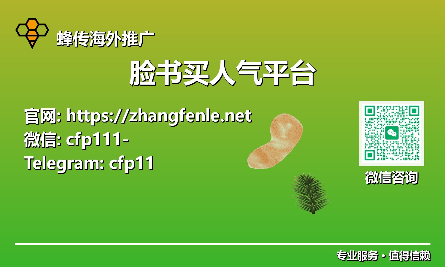 赢在起跑线:2025年脸书增粉利器与品牌成功之道,洞察未来趋势