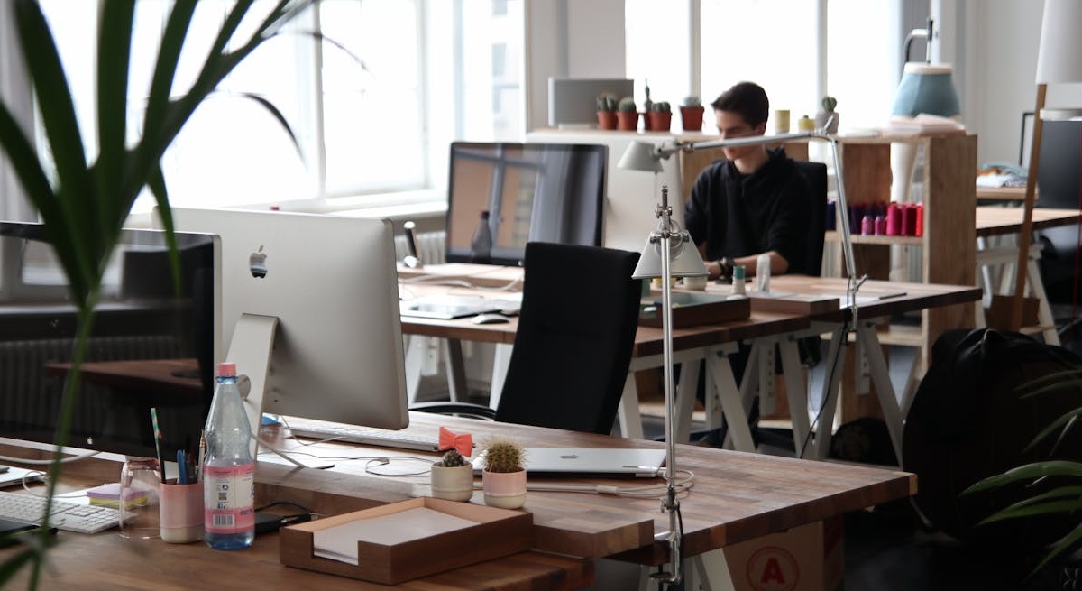 使用笔记本电脑分析ins粉丝质量