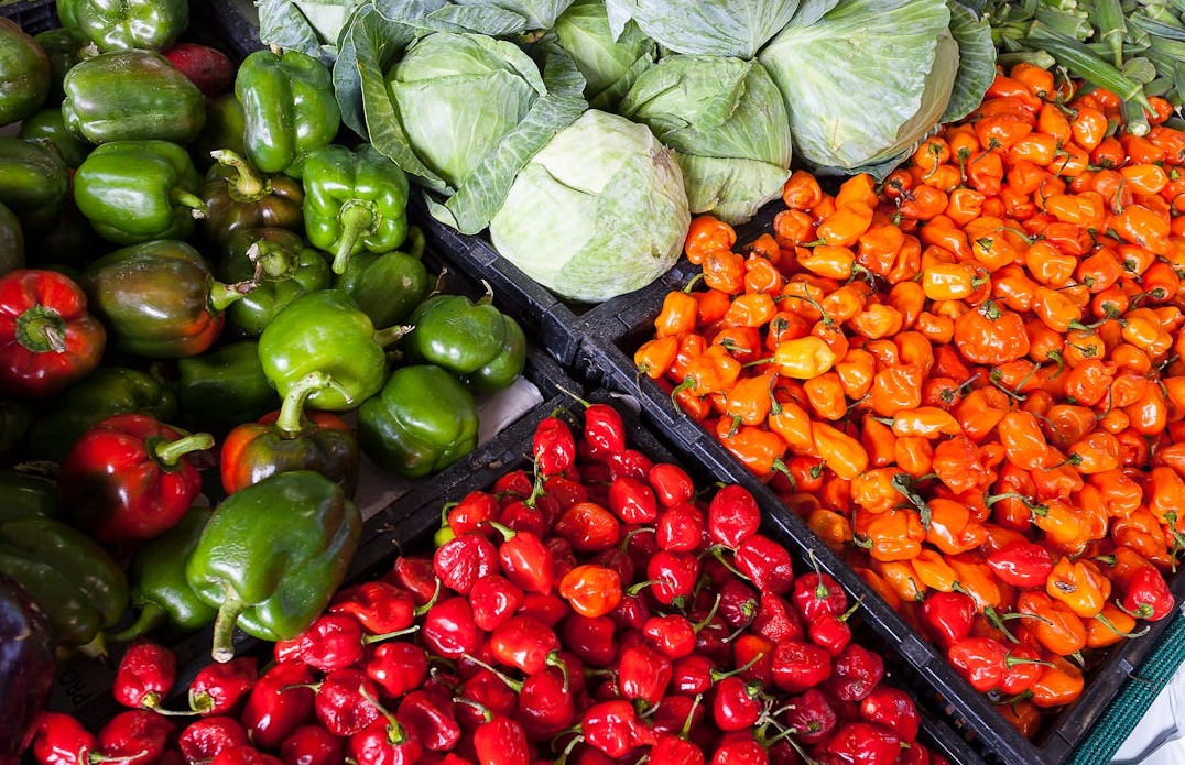 代表多元化目标受众的快乐人群