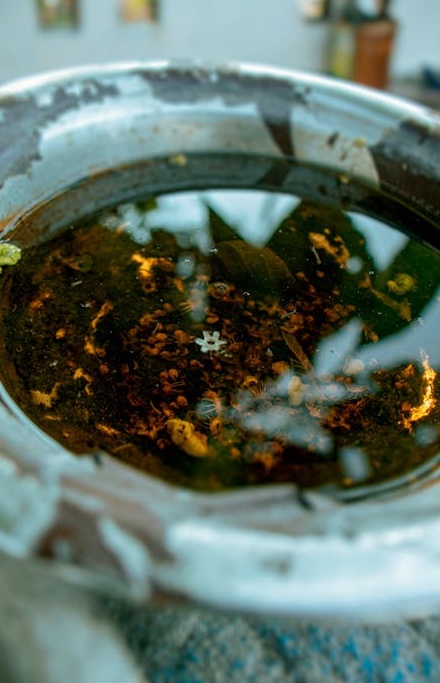 选择高质量TikTok粉丝服务的清单和标准