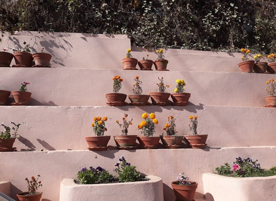 利用羊群效应吸引更多自然脸书粉丝