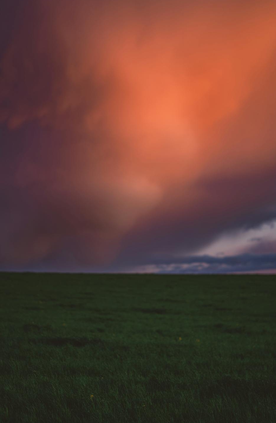 Instagram Reels视频因高浏览量而具备强大社交证明