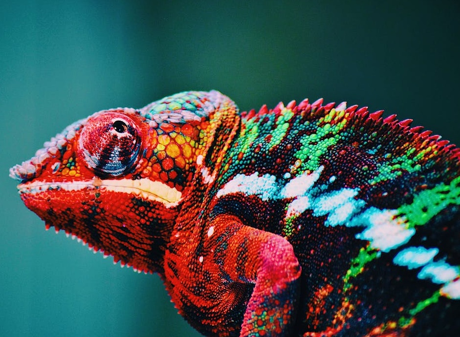 一个概念图，展示了数字安全锁和盾牌，代表选择安全可靠的推特刷点赞服务的重要性