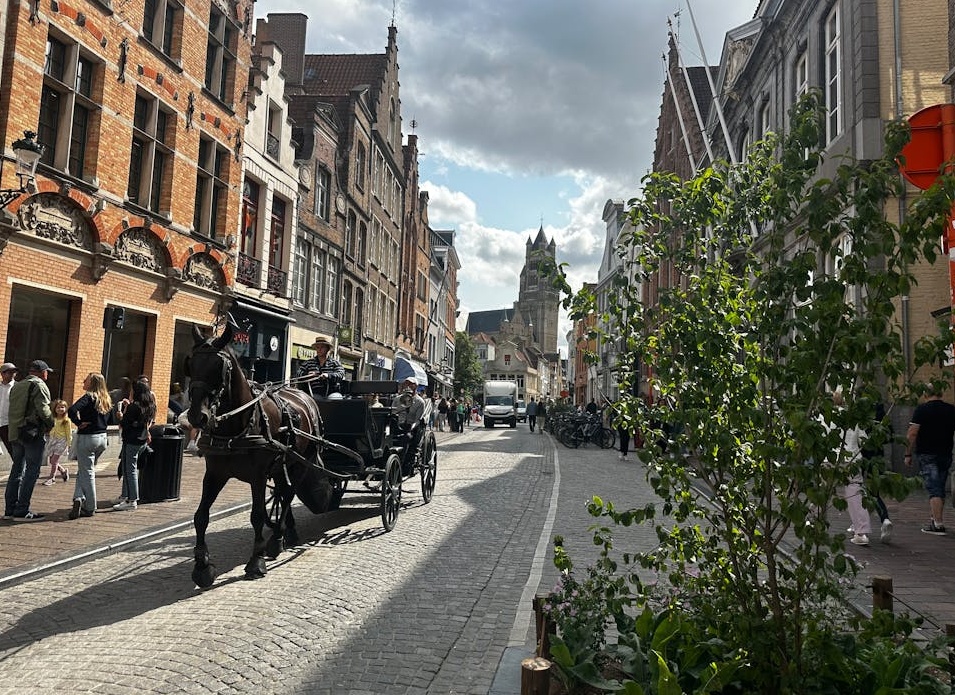 TikTok视频获得大量点赞的界面展示